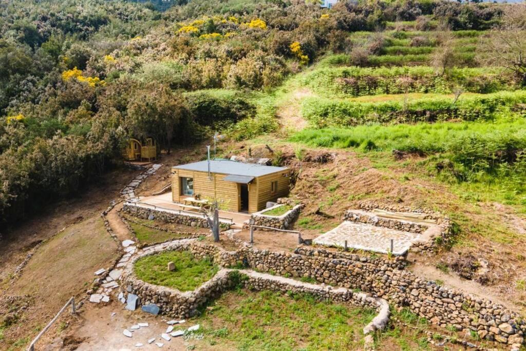 El Pino Centenario 3 La Orotava Dış mekan fotoğraf